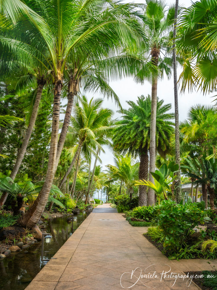 A path at the tropical garden at the beach in Noumea -South Pacific Ocean
